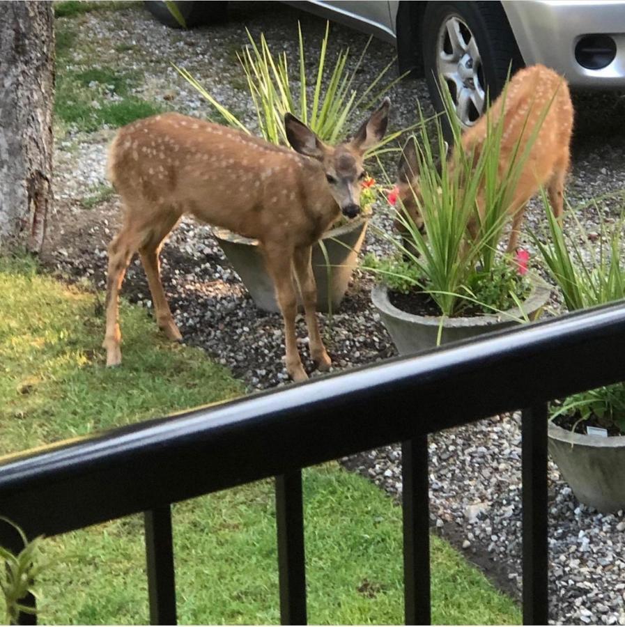 Fintry Country Dream B&B 외부 사진