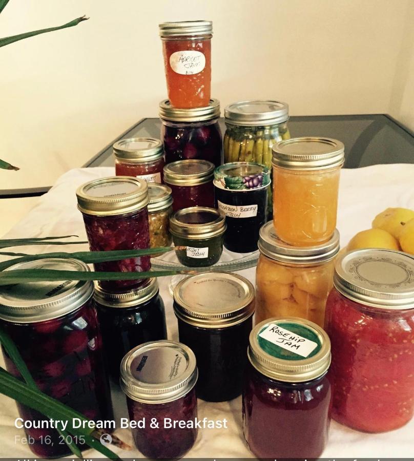 Fintry Country Dream B&B 외부 사진